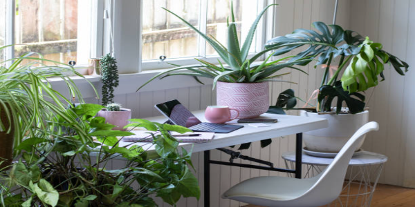 GREEN OFFICE
