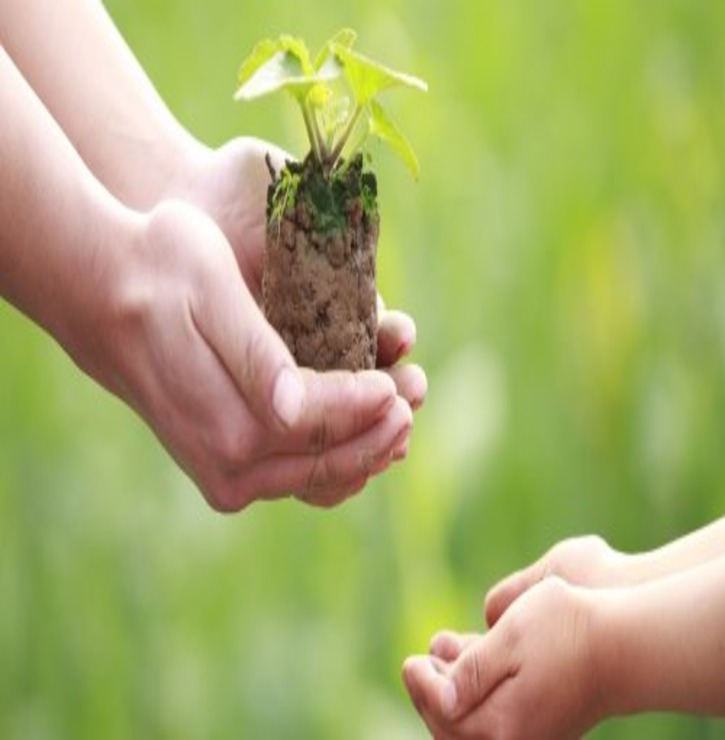 Gift A Plant